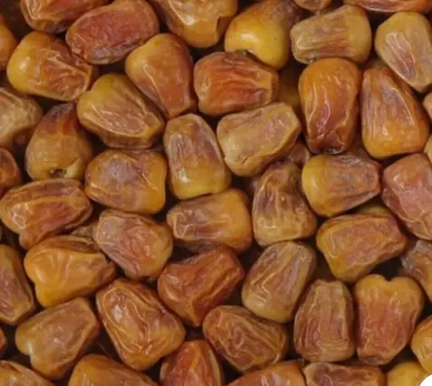 الصرح 2 للتمور